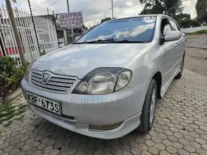 Toyota Allex 2006 Silver