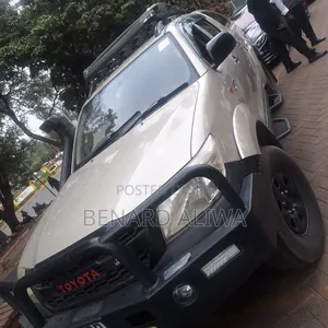 Toyota Hilux 2.5 D-4D 4X4 SRX 2011 Gold