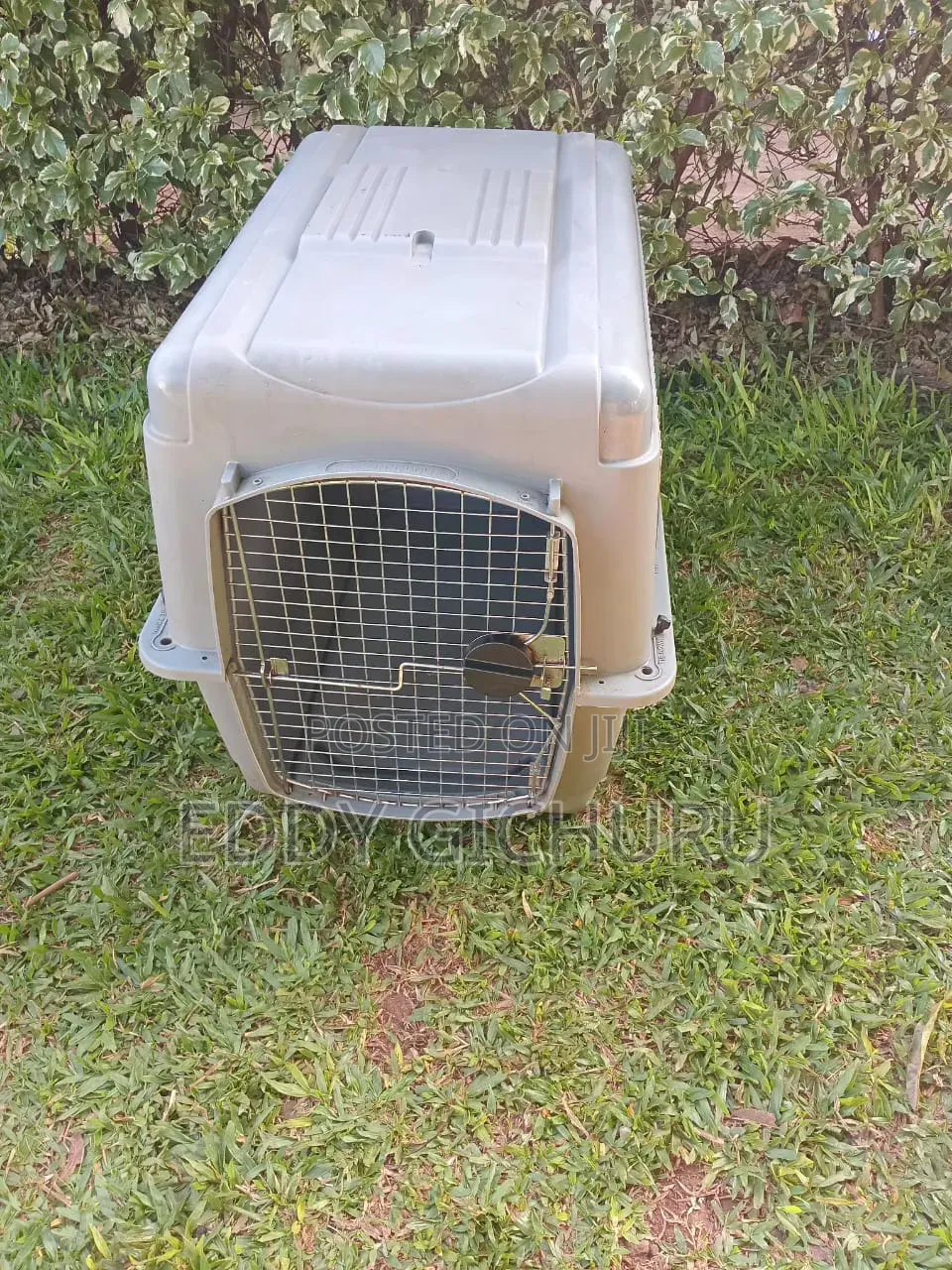 Lockable Dog Crate
