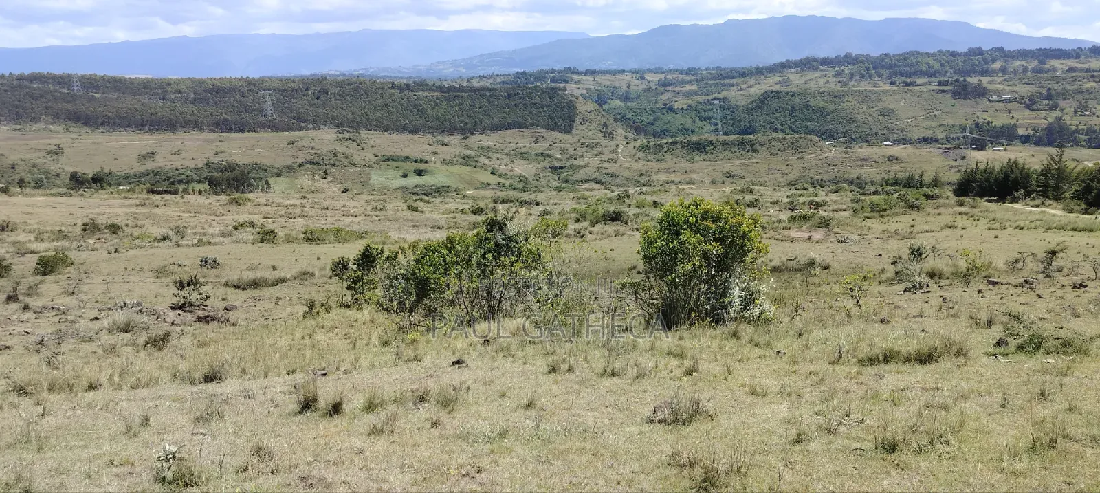Agricultural Land for Sale