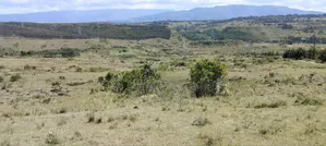 Agricultural Land for Sale