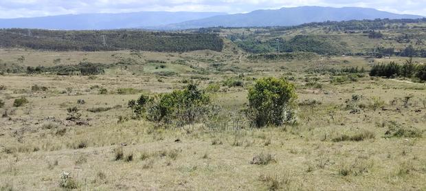 Agricultural Land for Sale