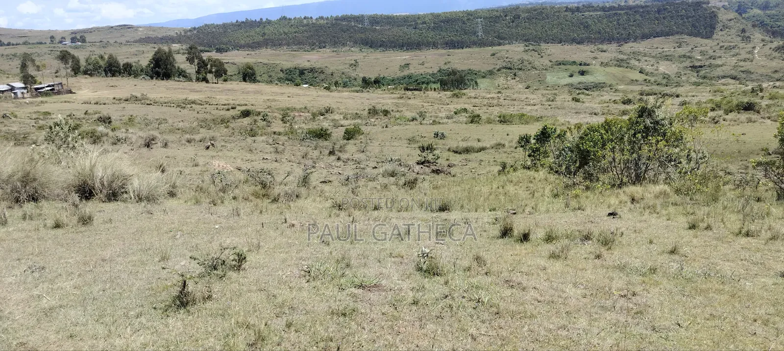 Agricultural Land for Sale