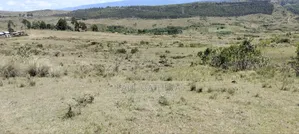 Agricultural Land for Sale