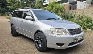 Toyota Corolla Fielder 2005 Silver