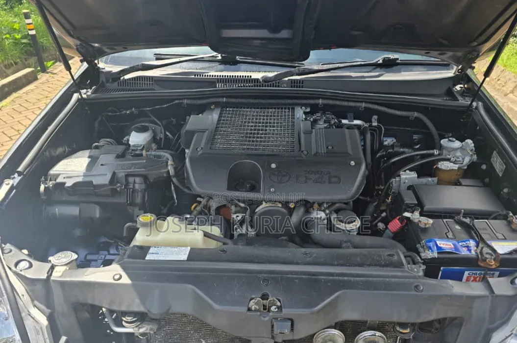 Toyota Land Cruiser Prado 2007 Gray