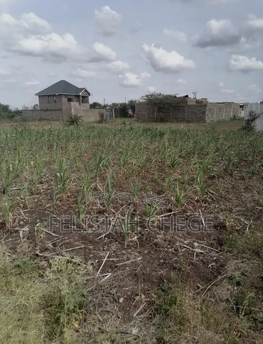 Prime 40x60 Plot in Murera Ruiru Near Main Road