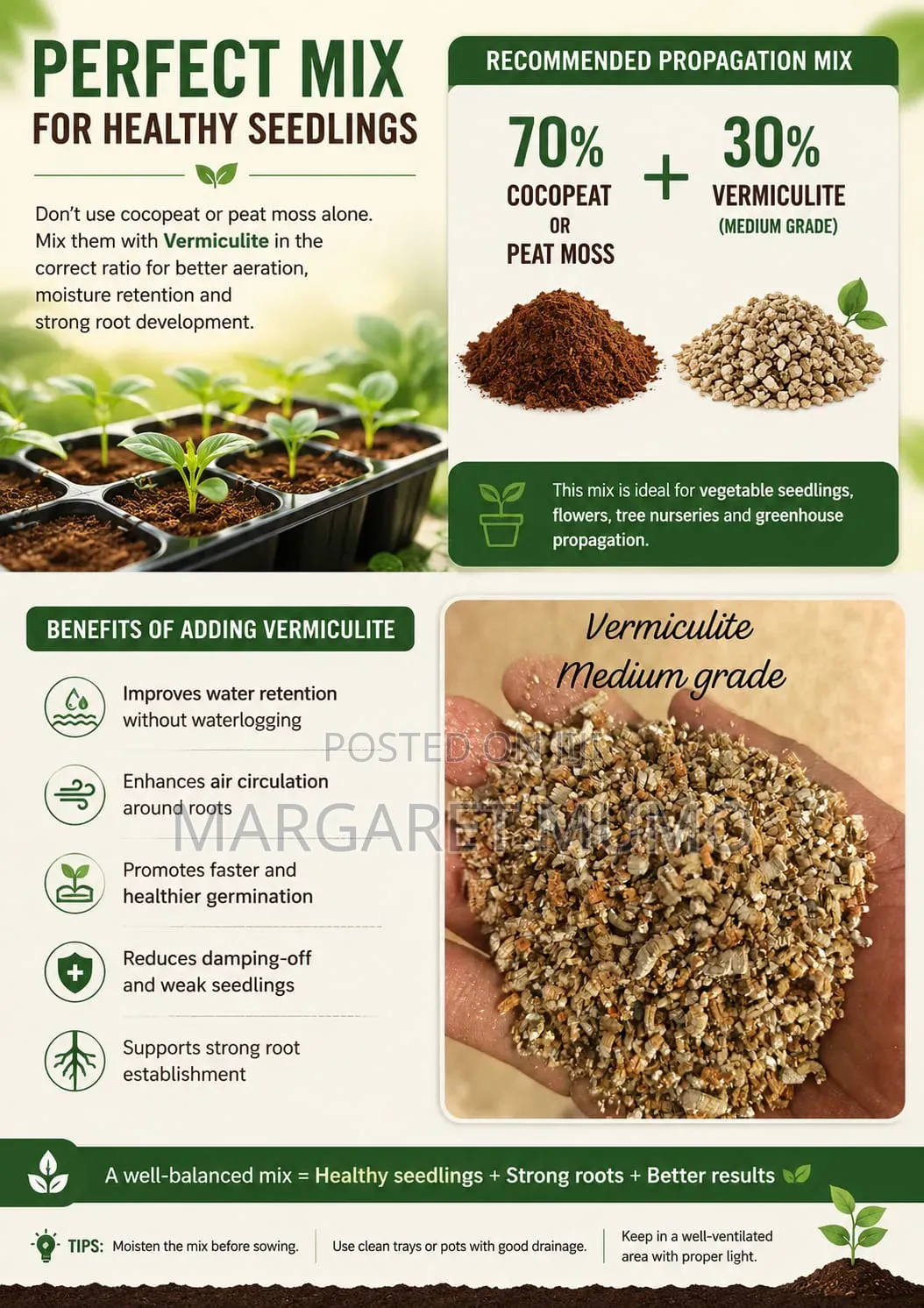 Vermiculite and Gypsum Works LTD
