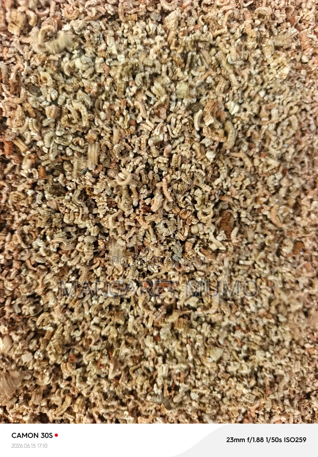 Vermiculite and Gypsum Works LTD