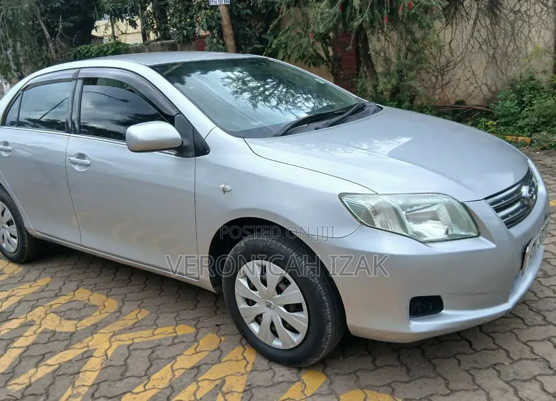 Toyota Axio 2009 Silver
