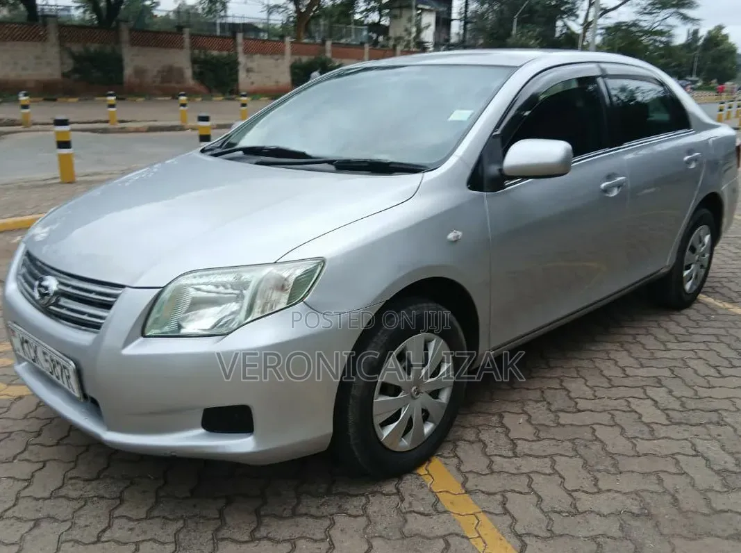 Toyota Axio 2009 Silver