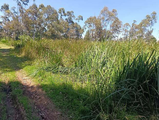 50 by 100 Plots for Sale in Outspan Eldoret. - thumbnail 2