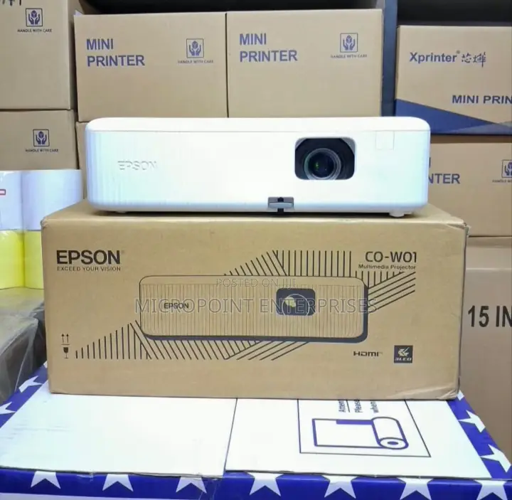 Epson Projector Co-W01