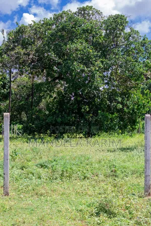 1/3 Acre Plot For Sale Bofa|Kichinjioni Road