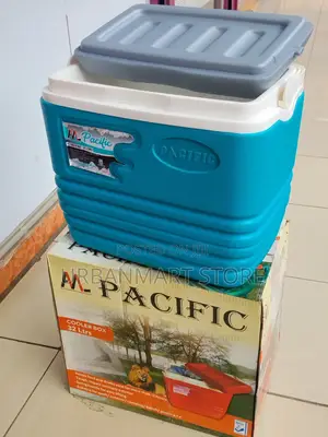 32 Litres Insulated Cooler Box for Food Beverages
