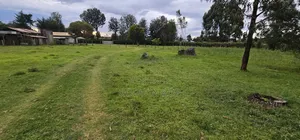Commercial Plot for Sale in Annex