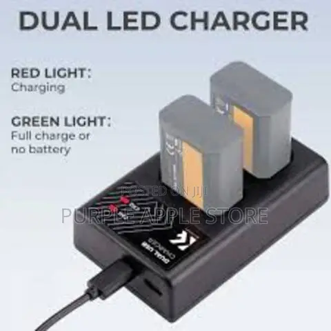 K F Concept Np-Fw50 Dual Slot Quick Charger, Micro Usb Type-C Dual