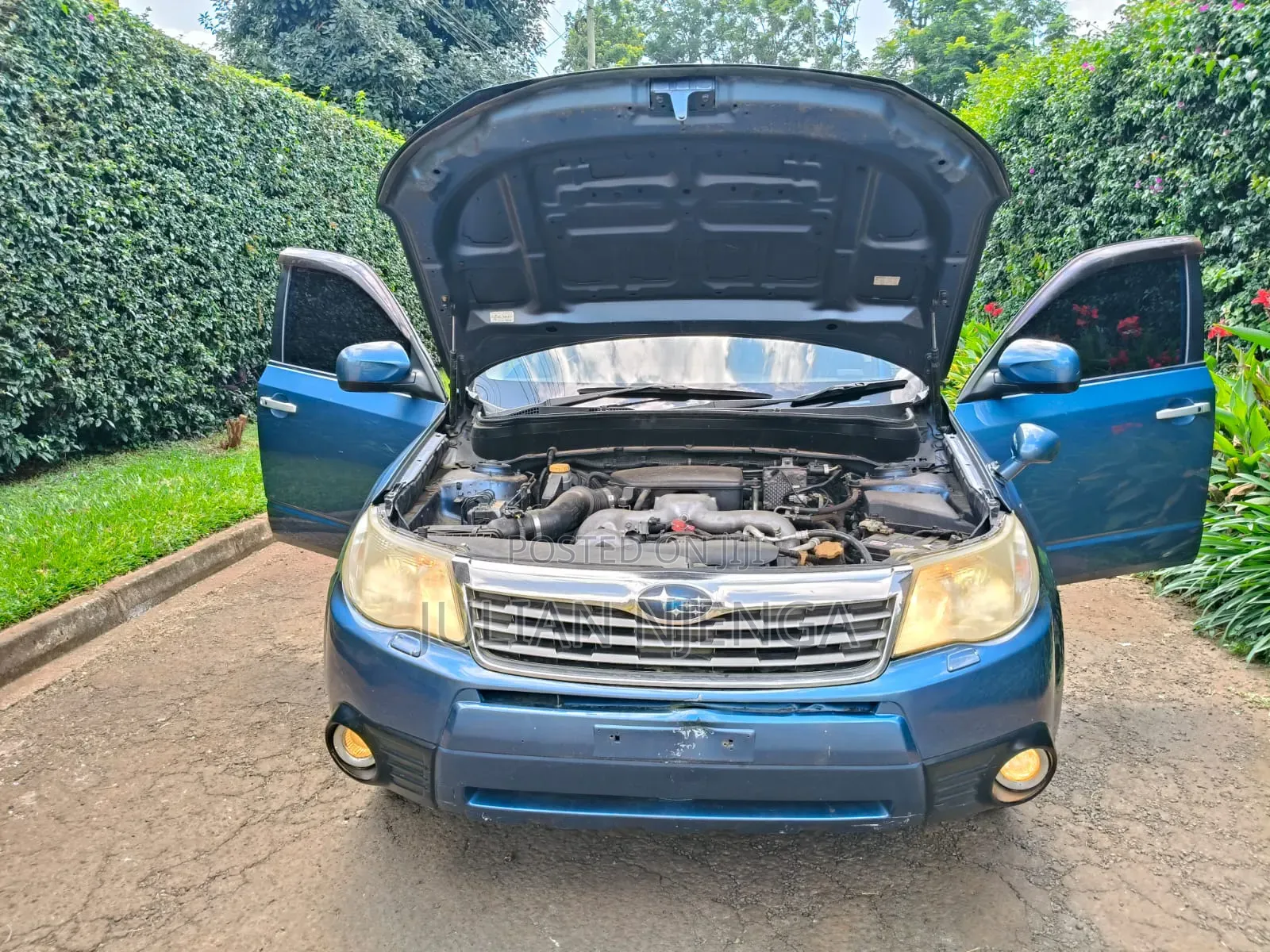 Subaru Forester 2009 Blue