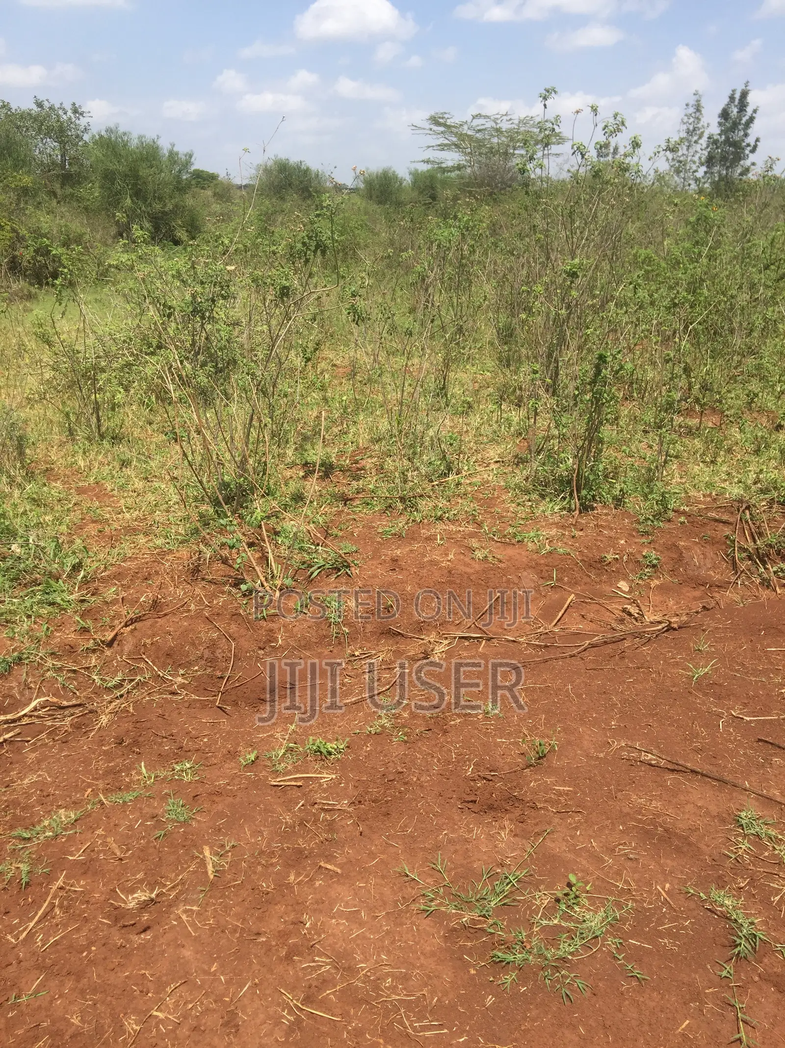 Ruiru Twiga Plot