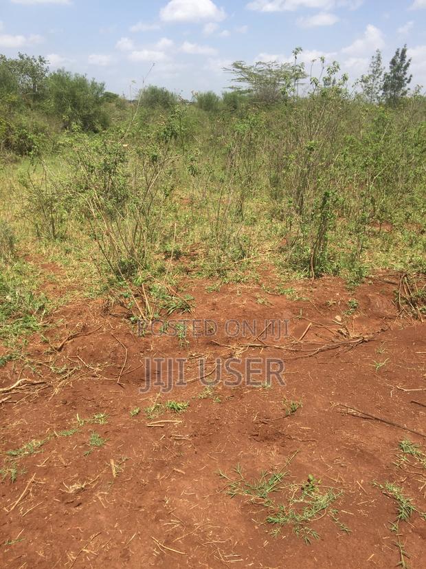 Ruiru Twiga Plot - main view