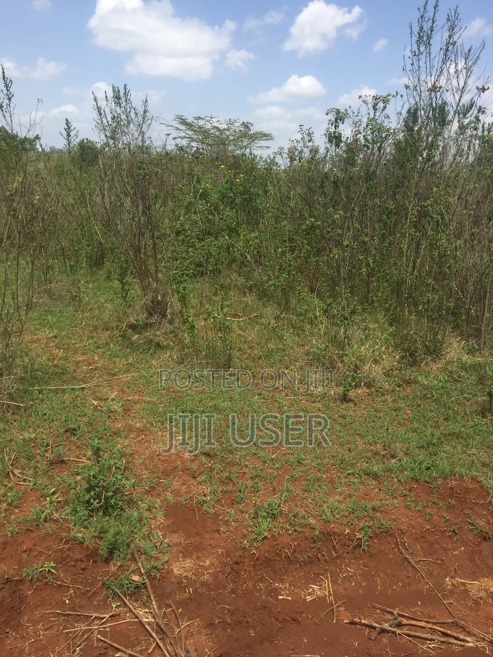 Ruiru Twiga Plot