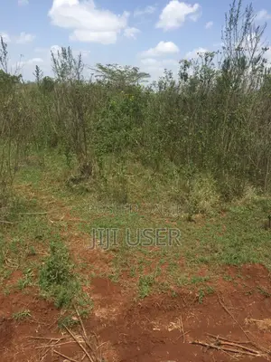 Ruiru Twiga Plot