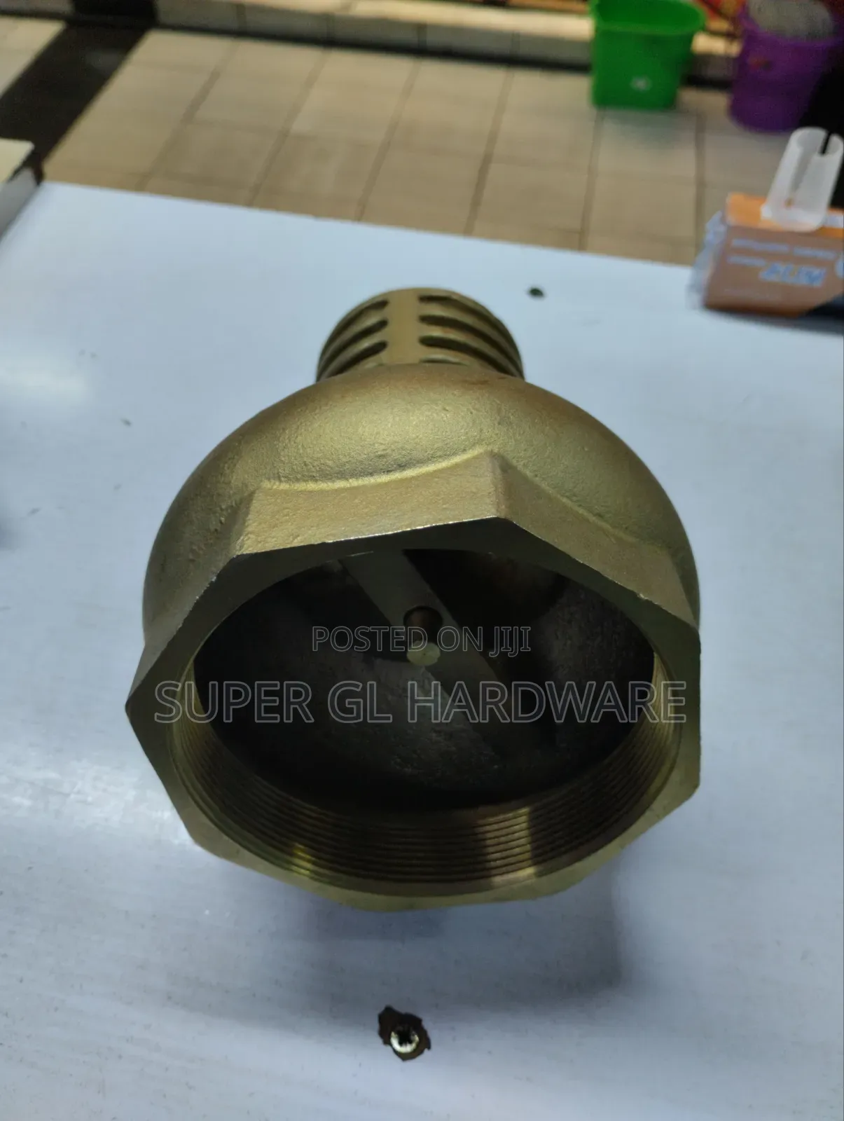 4" Foot Valve