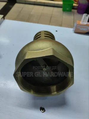 4" Foot Valve