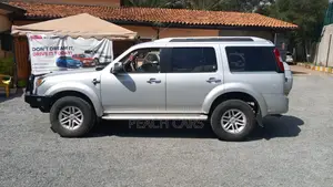Ford Everest 2011 Silver