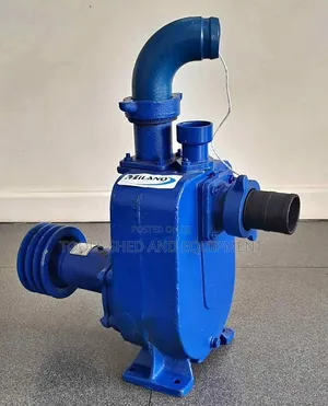 Bare Pump 2"