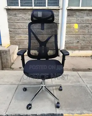 Ergonomic Mesh Chair