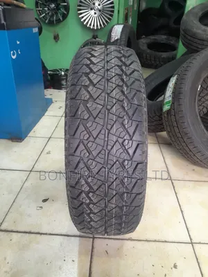 225/55r17 Petromax