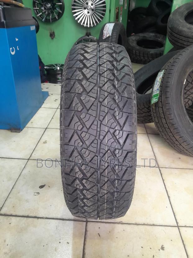 225/55r17 Petromax