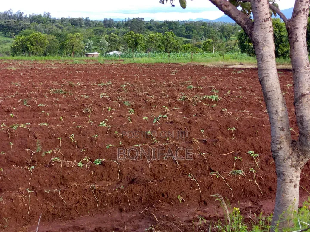 3 Acres With B/Hole at Mwea Pi (Wamûmû) Along Makutano-Embu H/Way