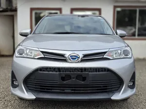 Toyota Corolla Fielder 2019 Silver