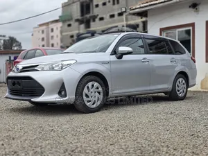 Toyota Corolla Fielder 2019 Silver