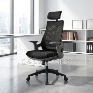 Ergonomic Mesh Lama Chair