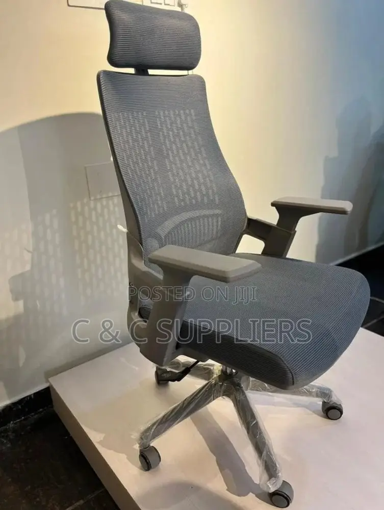 Ergonomic Mesh Lama Chair