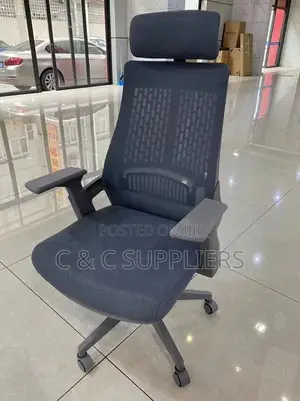 Ergonomic Mesh Lama Chair