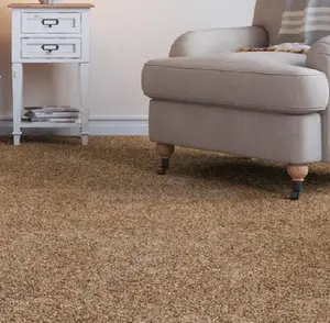 Home Area Flooring Carpet