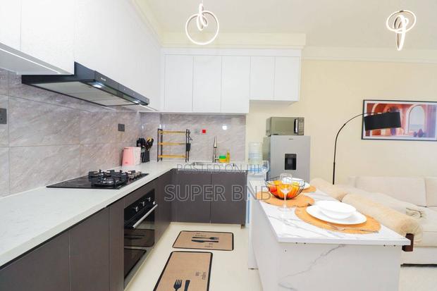 Furnished Studio and 1 Bedroom at Embu Town