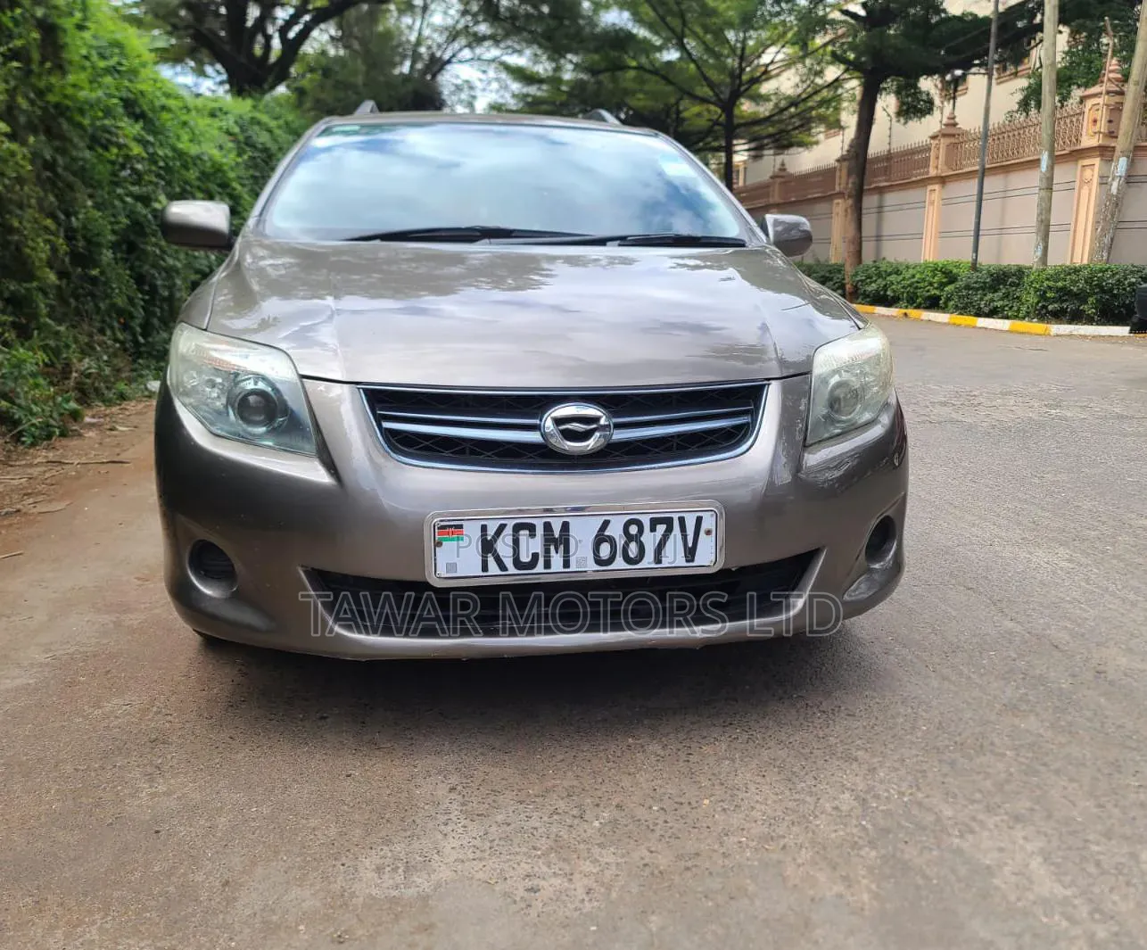 Toyota Corolla Fielder 2010 Gray