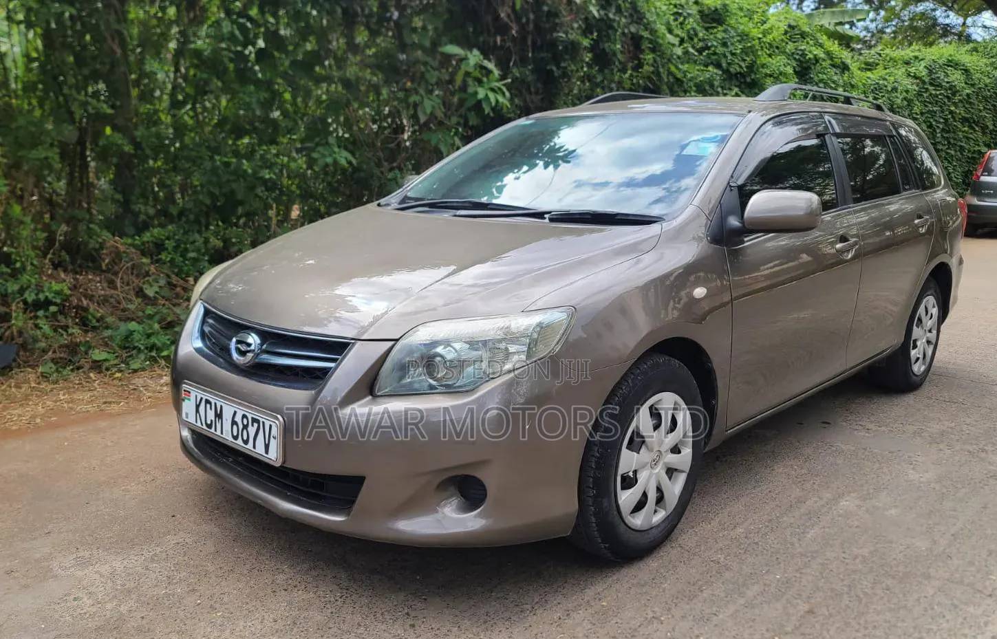 Toyota Corolla Fielder 2010 Gray