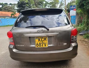 Toyota Corolla Fielder 2010 Gray