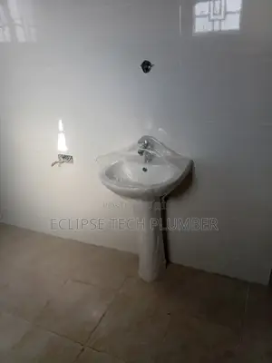 Plumber Near Me Professional Plumber
