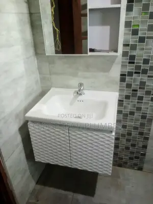 Plumber Near Me Professional Plumber