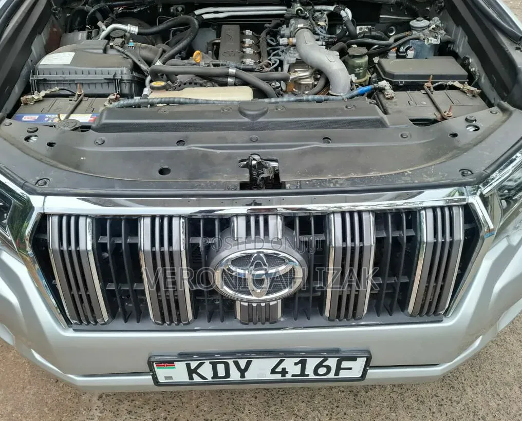 Toyota Land Cruiser Prado 2010 Silver