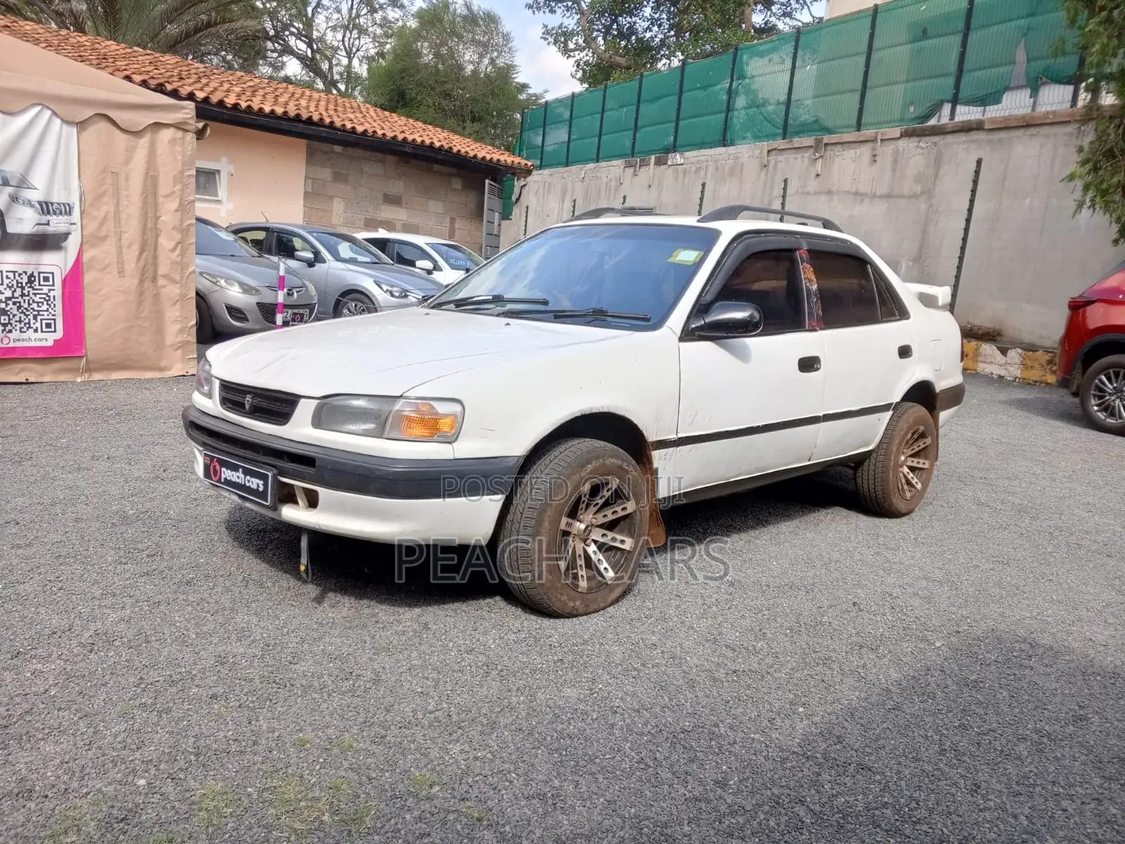 Toyota Corolla 1995 White