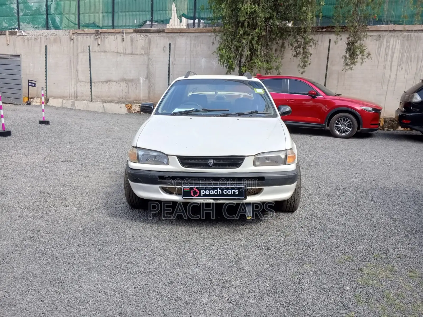 Toyota Corolla 1995 White