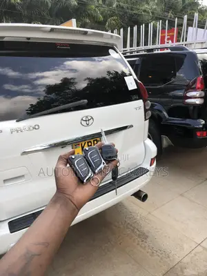 Car Keys Programming/ Duplication